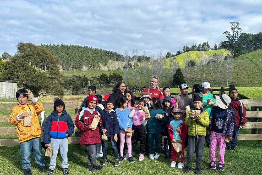 Image for third accordion